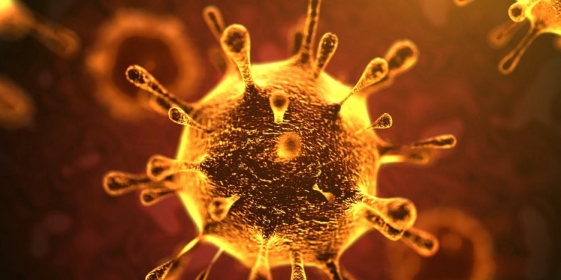 coronavirus